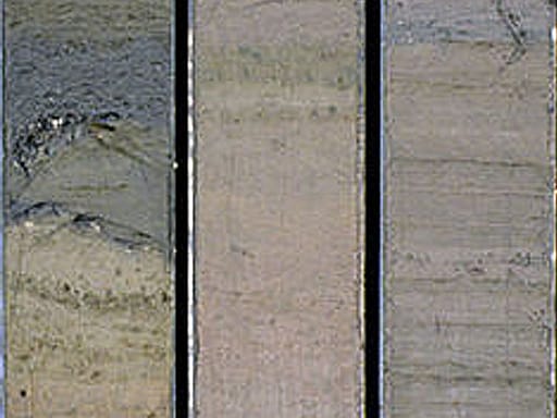 Sediment from lake core